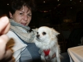SONY DSC